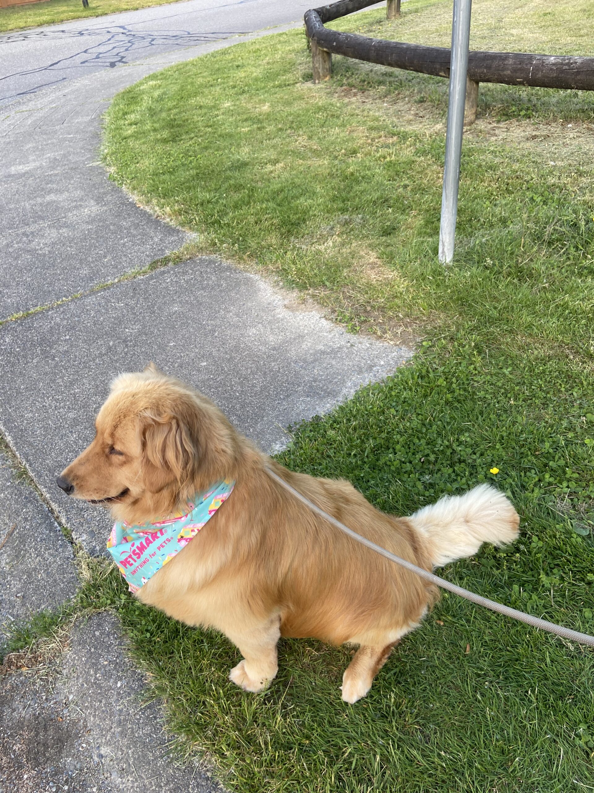 Sheila pic (1)