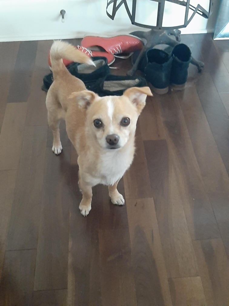 coco pic five