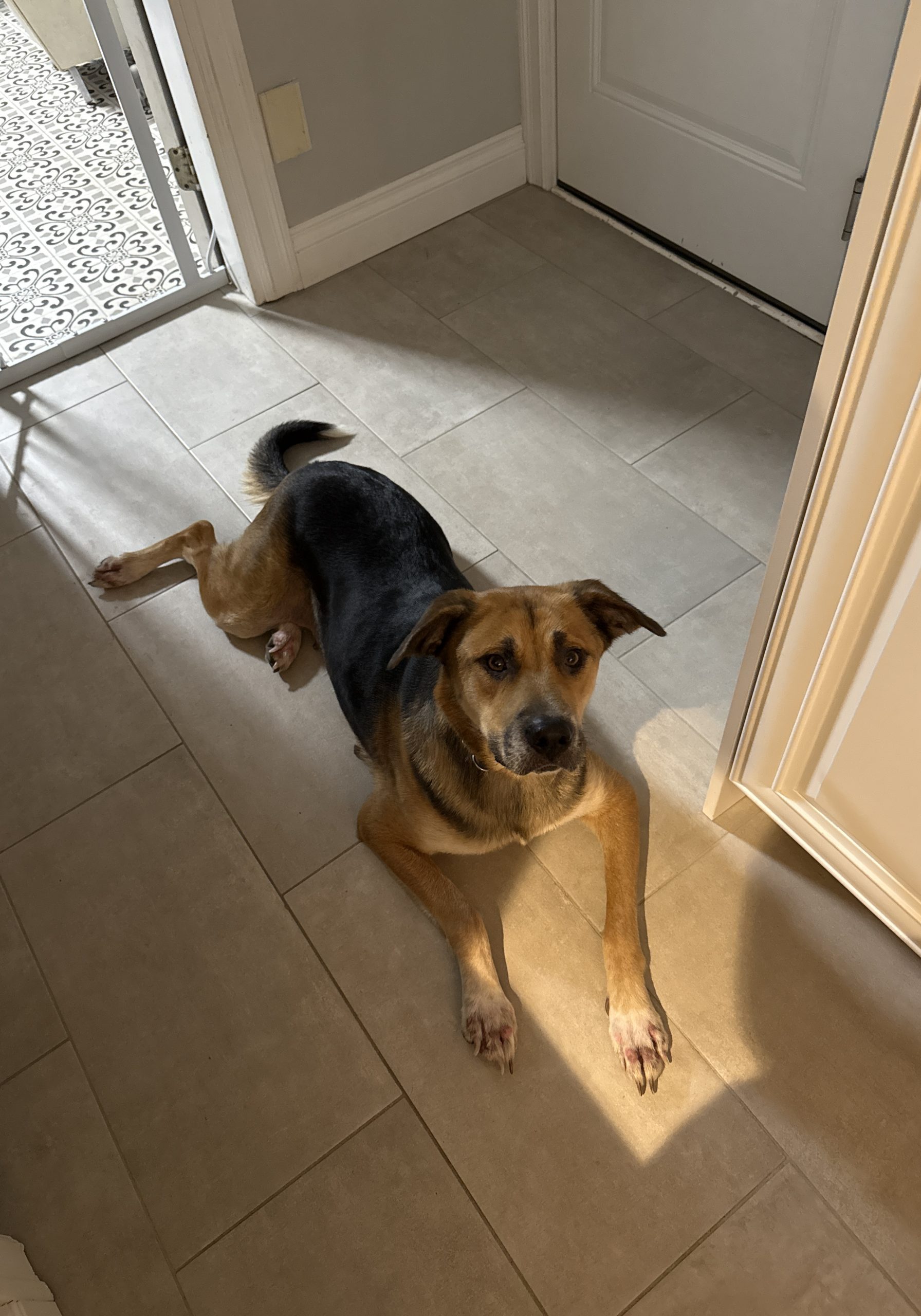 78486697187__B135BA3B-BC81-42B9-AF67-0C73C164BBAA